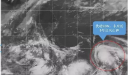 台风胚胎91W系统直播,追踪风暴发展动态